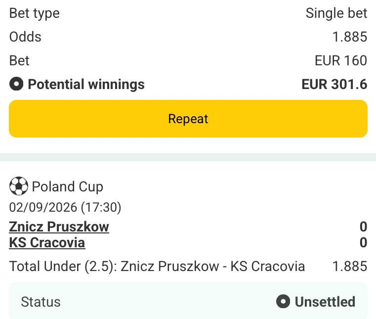 Bet slip for Znicz Pruszkow vs KS Cracovia