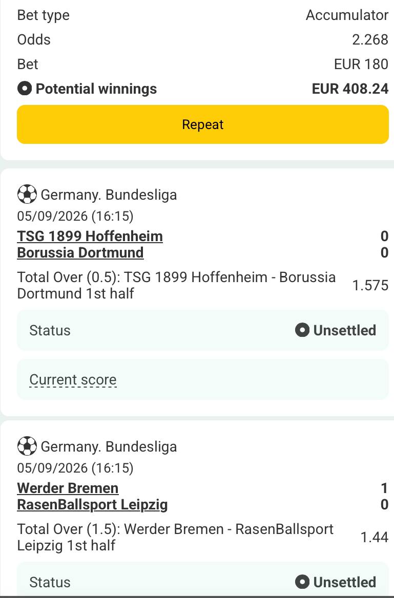 Bet slip for TSG 1899 Hoffenheim vs Borussia Dortmund / Werder Bremen vs RasenBallsport Leipzig